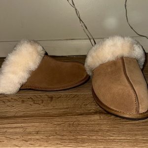 Selling UGG SCUFFETTE SLIPPER, in the color chestnut!
